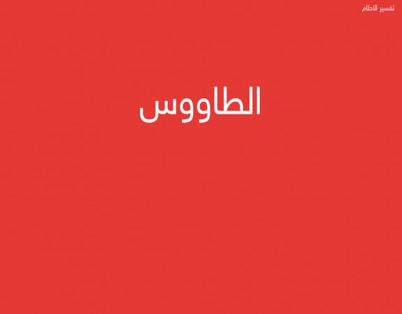 الطاووس