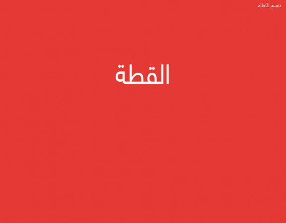 القطة